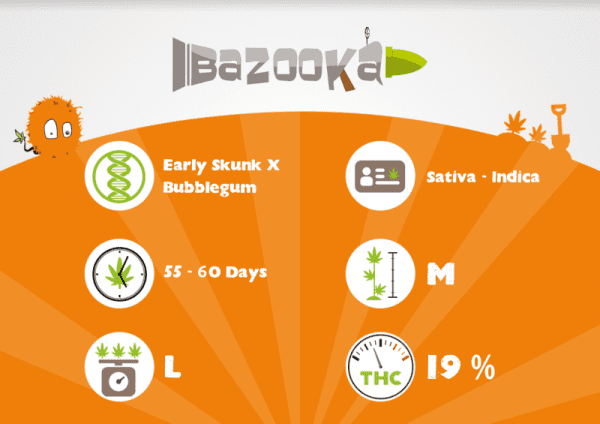 BAZOOKA – Image 3