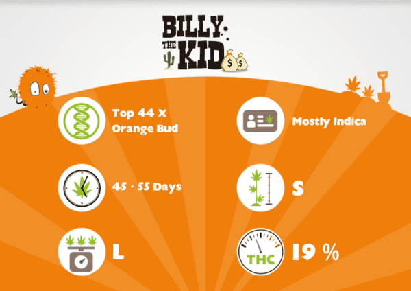 BILLY THE KID – Image 3