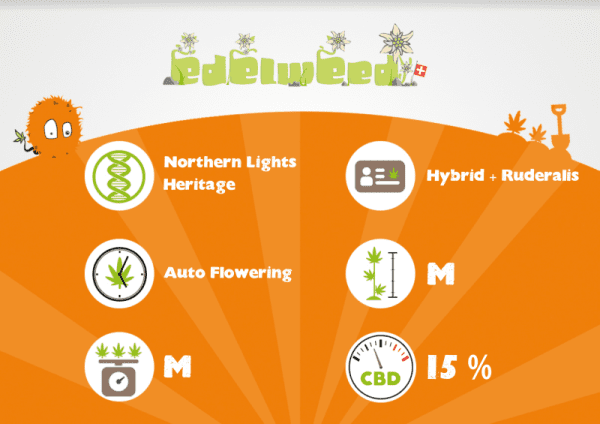 EDELWEED AUTO – Image 3