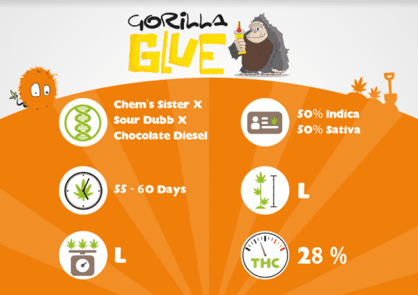 Gorilla Glue – Image 3