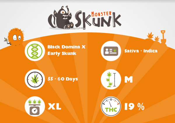 Monster Skunk – Image 3
