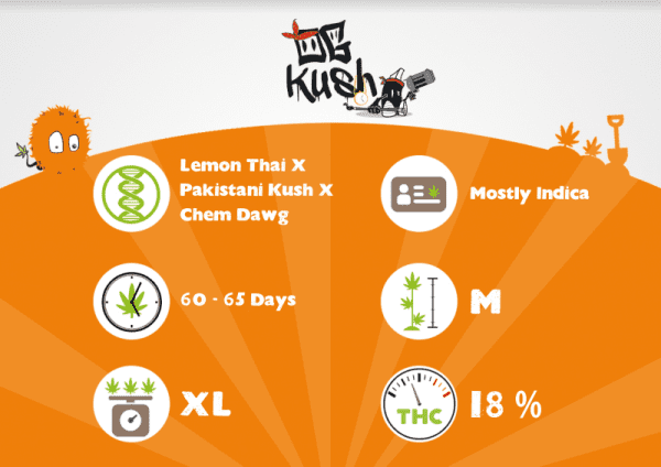OG KUSH – Image 3