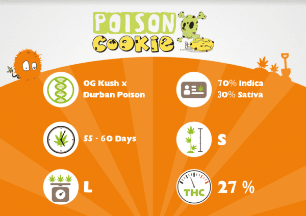 Poison Cookies – Image 3