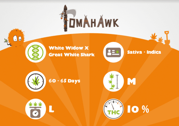 TOMAHAWK – Image 3