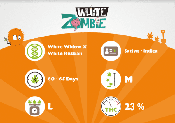 WHITE ZOMBIE – Image 3