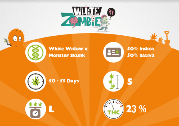 White Zombie FF – Image 3