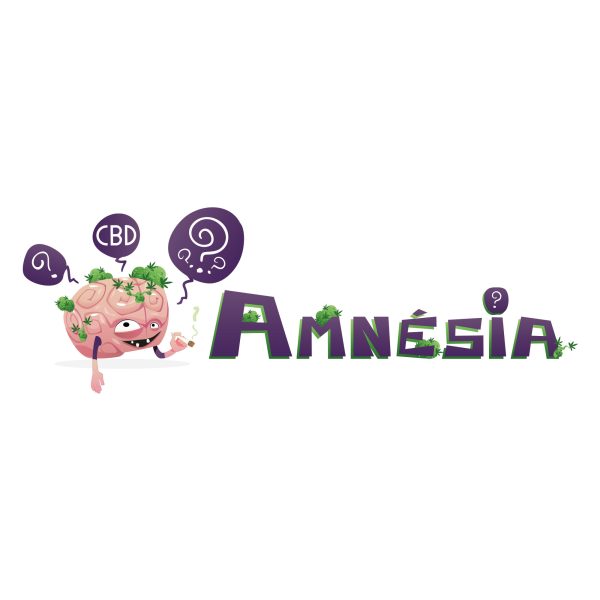 Amnesia CBD