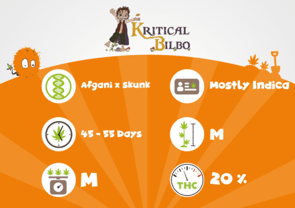 Kritical Bilbo – Image 2