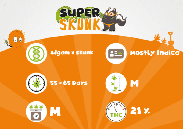 Super Skunk – Image 2